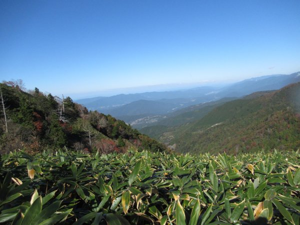 登山道